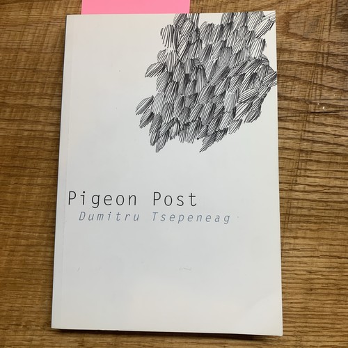 Pigeon post dumitru - pigeon,