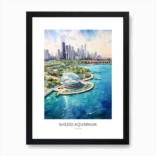 Shedd aquarium chicago - shedd,