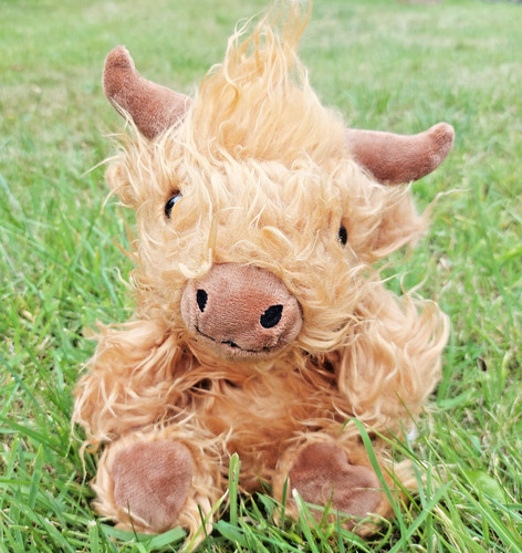 Brown moo cow heatable wheat - cow,,