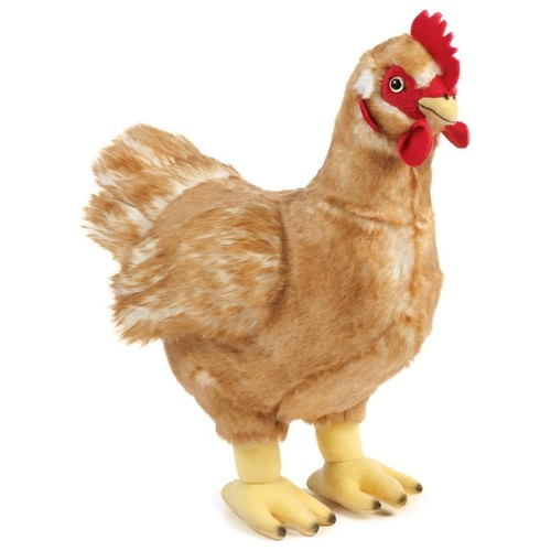 Living nature hen large - hen, an378