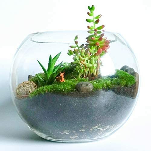 Glass handmade fish bowl round - handmade,