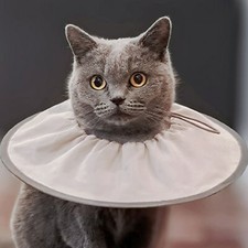 1pc Protective Dog Cat Cone