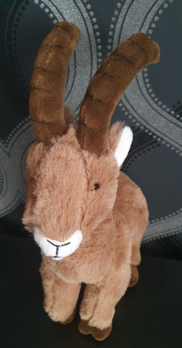 Wwf ibex goat - wwf,