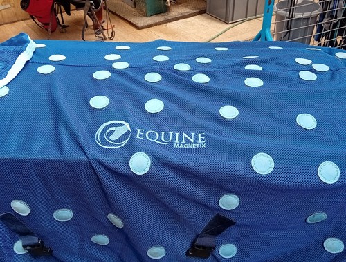 Equine magnetix rug - rug,