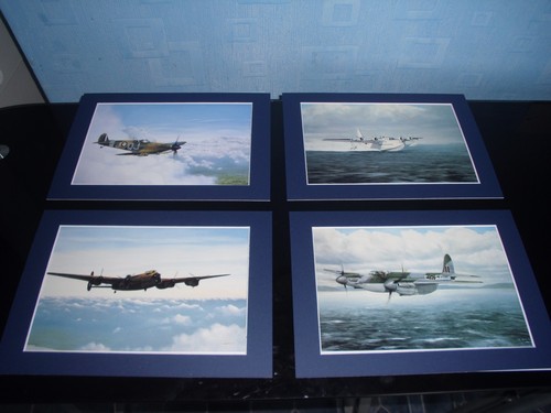 Mounted aircraft prints - mounted,