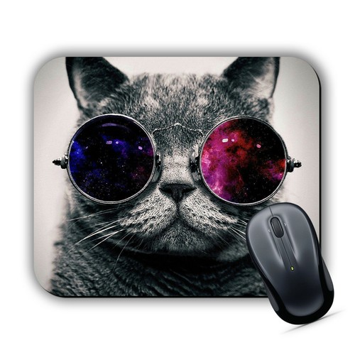 Cool cat mouse - cat,