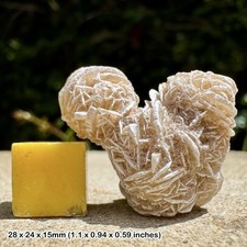 Gypsum Desert Rose Crystal -
