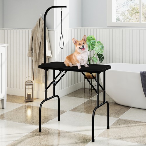 Foldable dog grooming table - grooming,