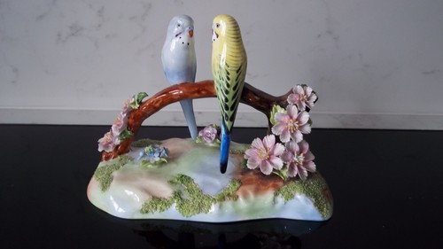 Budgerigars denton bone china - budgerigars,