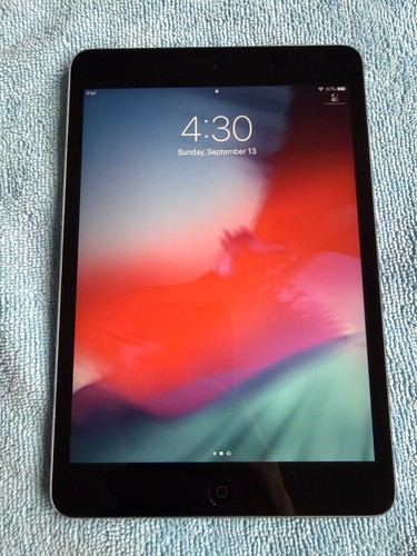 Apple ipad mini 16gb wifi - apple,