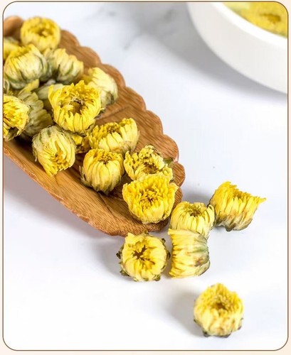 Premium chrysanthemum floral - premium,