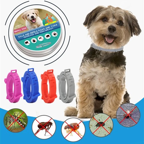 Adjustable anti flea and - adjustable,