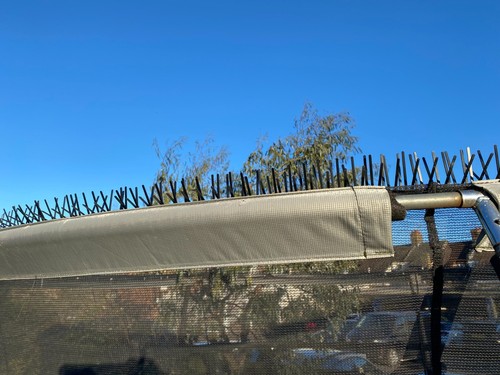 8ft trampoline bird - 8ft,