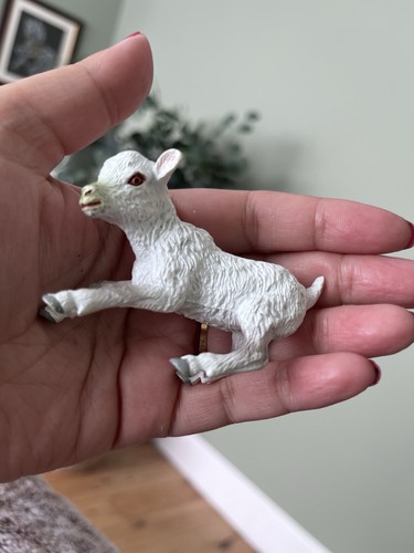 Miniature white lamb - lamb, goat