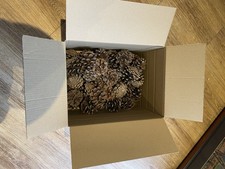 Jumbo Box Of 60 Natural Dry