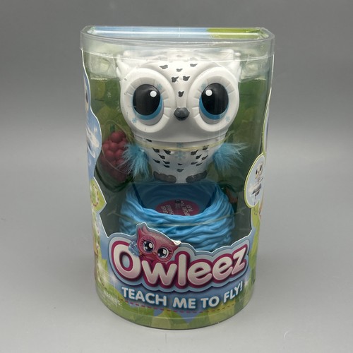 Owleez teach how - me, fly