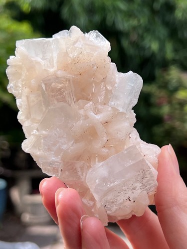 Green large cubic - cubic, apophyllite