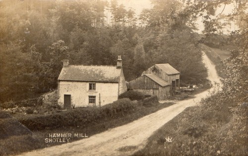Shotley - shotley, consett)