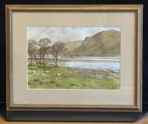 Paul rose original watercolour - rose,