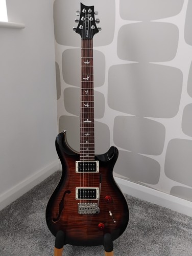 Prs custom semi - custom, 22