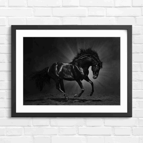 Powerful black horse running - powerful,
