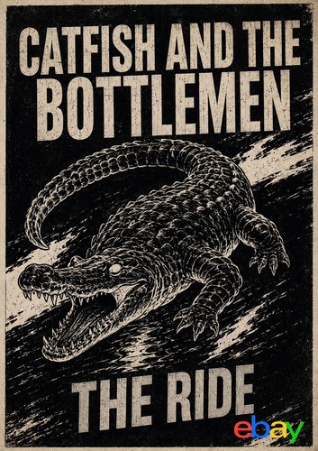 Catfish and the bottlemen - and,