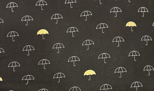 Riley blake fabric when skys - -,