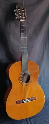 Fernandes model gc20 - gc20, classical
