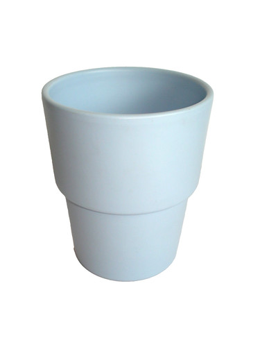 Small pale blue flower plant