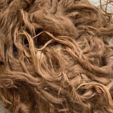 Suri 4"-11" Alpaca Fleece for