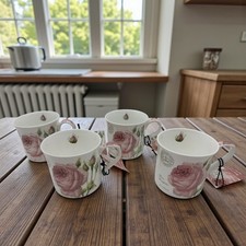 KEW Royal Botanic Gardens Pink