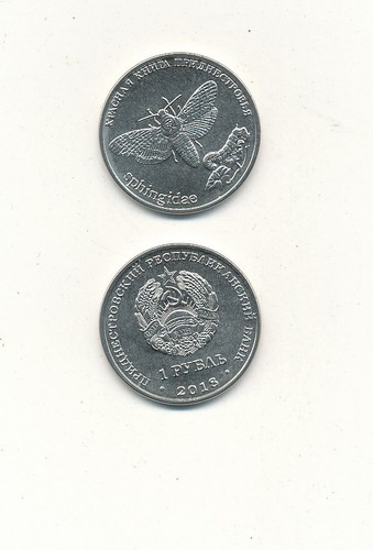 Moldova local money - moldova,