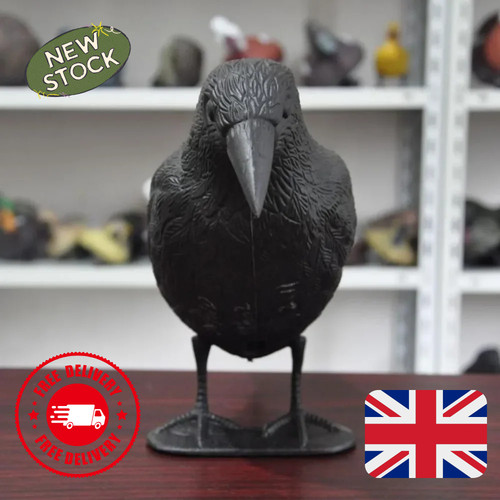 Decoy crow bird raven scare - decoy,