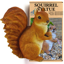 Red Squirrel with Acorn Indoor