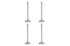 NE Exhaust Valve for Fiat 500