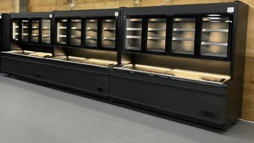 2024 fricon freezer display - fricon,