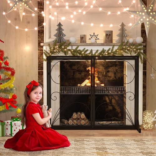 Double door fireplace screen - fireplace,