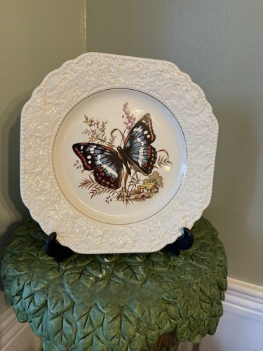 Beautiful lord nelson pottery - nelson,