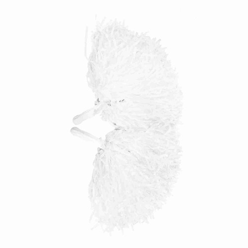 Cheerleader pom poms multiple - cheerleader,
