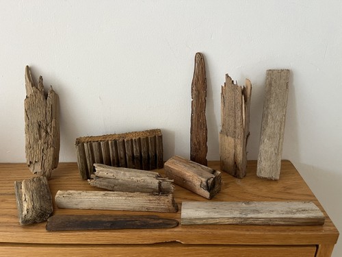 Driftwood pieces sea wood - pieces,