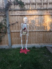 Skeleton Model - Billie Bones