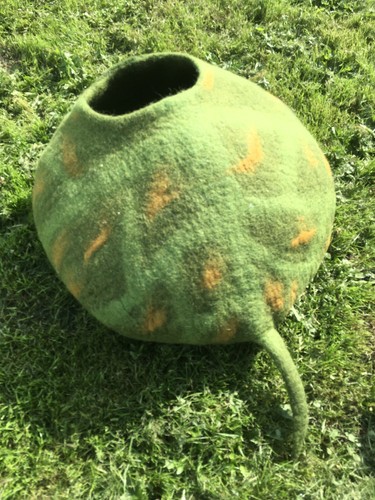 Luxury turtle cat - luxury,