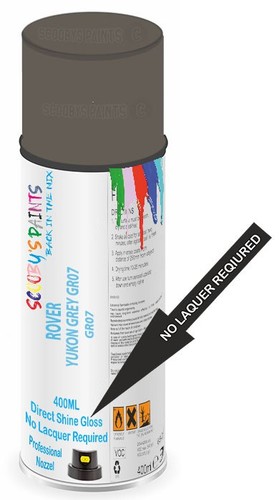 Direct shine paint spray - paint,
