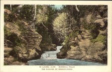 Laurel Glen Bushkill Falls Niagara of Pennsylvania PA hand colored Albertype