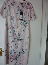 Phase eight pale pink dress