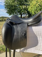 Amerigo Pinerolo Dressage