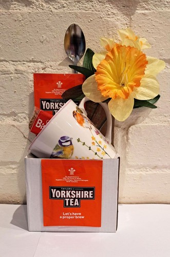 Easter daffodil yorkshire - daffodil,
