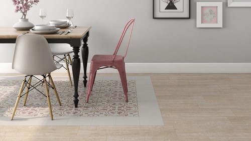 Carot colourful decorative - colourful,