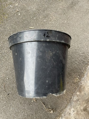Black plastic plant pots small - plastic,