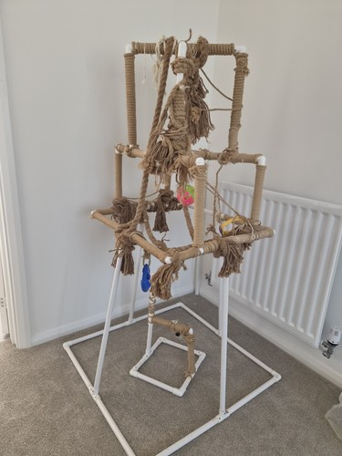 Parrot playground playstation - parrot,